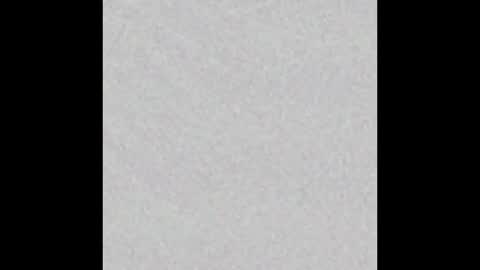 Venus online show from 11-23-25, 02:50