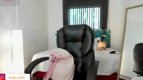 Snapshot of scarlett__cooper__ chatting on 05-18-26, 12:00 Scarlett online show from 05-18-26, 12:00