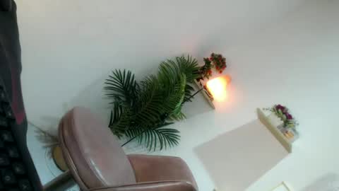    online show from 07-06-26, 10:12