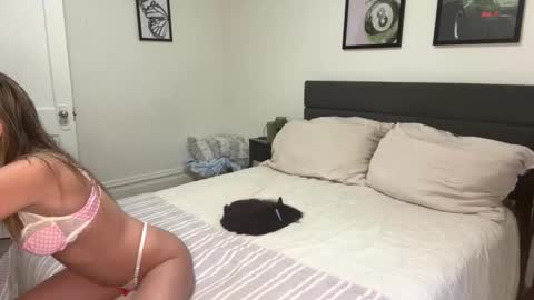 Scarlett online show from 02-25-26, 09:46