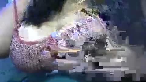 mai latina online show from 04-25-26, 10:40