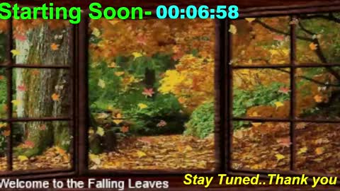 Snapshot of scifidiscoguy chatting on 11-10-25, 01:04 ...PHIL... online show from 11-10-25, 01:04