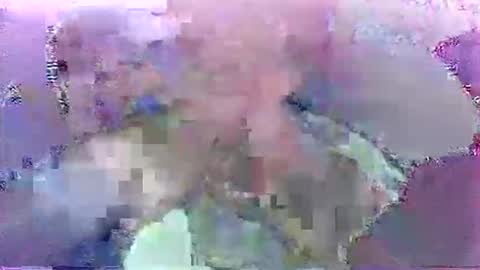 Snapshot of scoobydueingu69 chatting on 11-30-25, 10:08 scoobydueingu69 online show from 11-30-25, 10:08