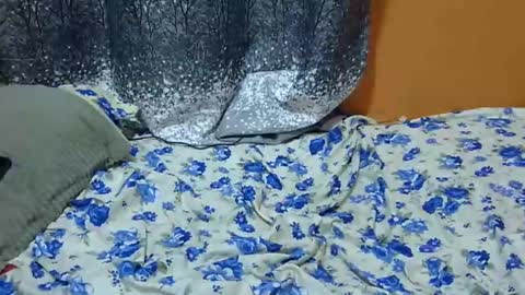 Snapshot of scorviaamanda254 chatting on 01-24-25, 03:11 Its Lilly online show from 01-24-25, 03:11