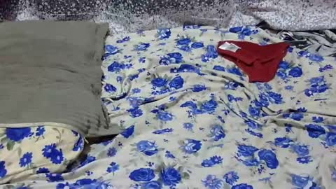 Snapshot of scorviaamanda254 chatting on 01-25-25, 03:09 Its Lilly online show from 01-25-25, 03:09