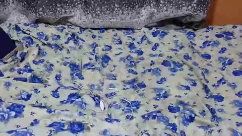 Snapshot of scorviaamanda254 chatting on 01-27-25, 07:03 Its Lilly online show from 01-27-25, 07:03