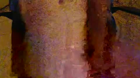 scott1usa online show from 05-05-26, 05:48