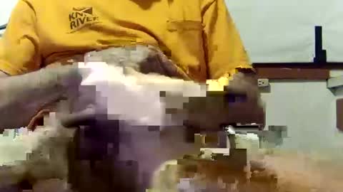 scoutiii online show from 03-10-25, 10:37