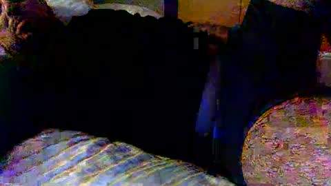 dick online show from 02-19-25, 12:00