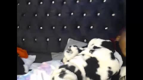 Snapshot of sebatrishaa chatting on 10-23-25, 10:52 sebatrishaa online show from 10-23-25, 10:52