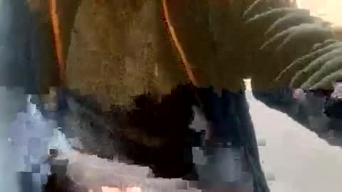 sebtin1979 online show from 02-23-26, 02:36