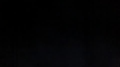 Sunny online show from 03-17-26, 12:59