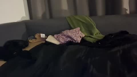 Snapshot of selfiepicdump chatting on 01-03-25, 05:06 Julian Kinky Bi-guy online show from 01-03-25, 05:06