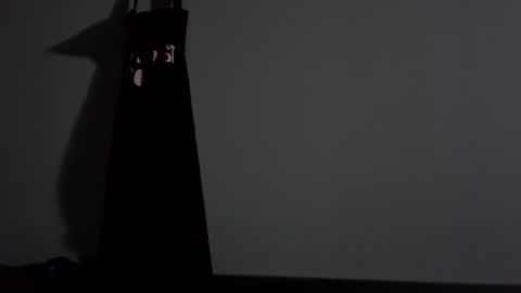 Snapshot of selfiepicdump chatting on 09-27-25, 08:30 Julian Kinky Bi-guy online show from 09-27-25, 08:30