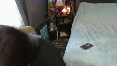 Snapshot of sentfrmheaven chatting on 02-02-25, 04:00 Tara online show from 02-02-25, 04:00