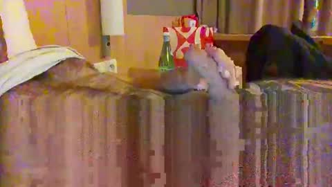 serialfucka69 online show from 10-27-25, 06:56