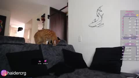 setth online show from 02-07-26, 06:00