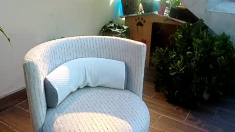 SeXander online show from 06-24-26, 12:31