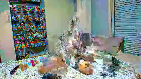 Snapshot of sexapoly chatting on 03-17-26, 06:55 Sexapoly online show from 03-17-26, 06:55