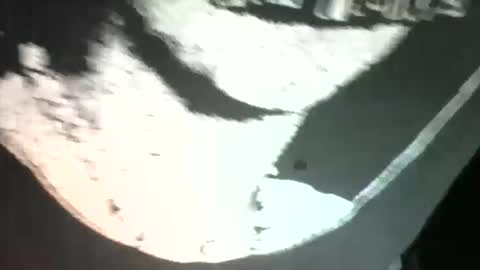 Snapshot of sexdeiv chatting on 03-13-26, 03:02 sexdeiv online show from 03-13-26, 03:02