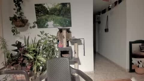         online show from 04-21-26, 11:29