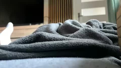 Anna online show from 04-26-26, 04:37