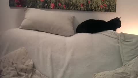 Sexurbation online show from 01-01-25, 10:46