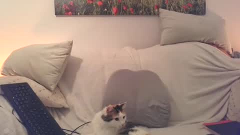 Sexurbation online show from 12-20-25, 08:16