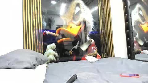 Snapshot of sexy78michell chatting on 02-14-26, 02:19 sexy78michell online show from 02-14-26, 02:19