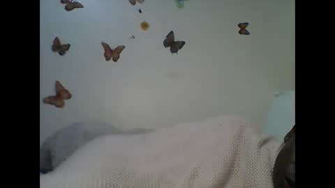 Ann online show from 11-22-25, 03:49