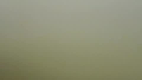 sexy_esther92 online show from 01-19-26, 06:39