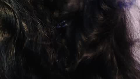 Snapshot of sexy_impact chatting on 01-15-25, 03:33 online show from 01-15-25, 03:33