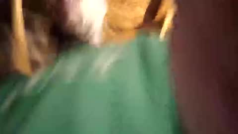    RICHY    online show from 04-12-26, 11:26