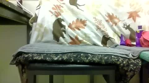 Daddy online show from 02-13-26, 06:59