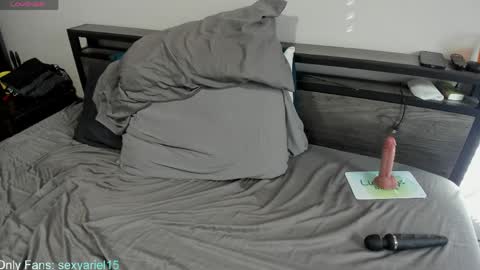 Snapshot of sexyariel15 chatting on 04-04-26, 04:04 SexyAriel15 online show from 04-04-26, 04:04