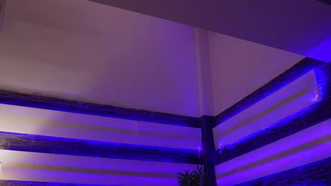 Celline online show from 11-27-25, 05:09