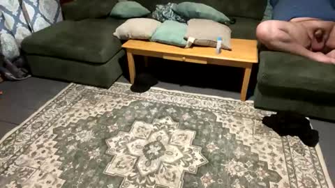 sexycouple762734 online show from 04-26-26, 11:35