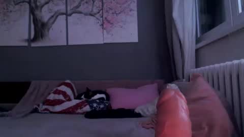 Snapshot of sexyella25 chatting on 01-29-25, 11:56     .... ............ Onlyfans   online show from 01-29-25, 11:56