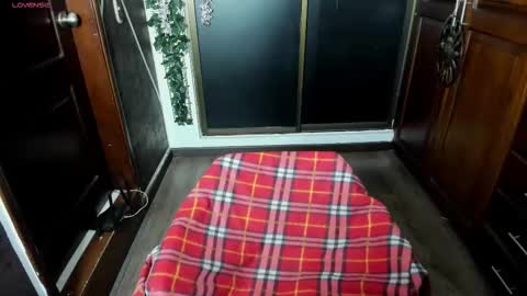 Snapshot of sexynaf chatting on 11-19-25, 08:31 N A F online show from 11-19-25, 08:31