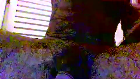 Snapshot of sexynudistdaddycockm chatting on 11-24-25, 05:51 sexynudistdaddycockm online show from 11-24-25, 05:51