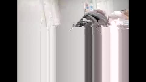 shagnasty95 online show from 04-09-26, 01:27