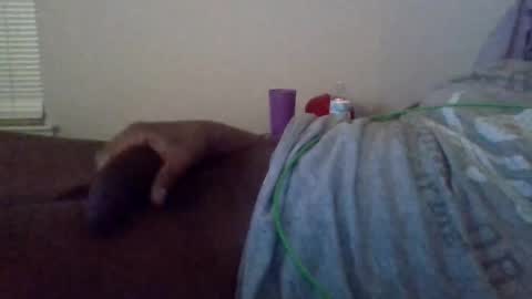 Shameak online show from 10-28-25, 02:48