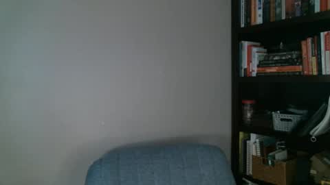 Snapshot of shamelesswetdream chatting on 02-24-25, 01:35 shamelesswetdream online show from 02-24-25, 01:35