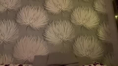 Snapshot of shaquitaalcosiba chatting on 01-11-26, 08:03 Alica online show from 01-11-26, 08:03