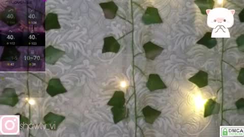 shawty_vi online show from 02-03-25, 08:13