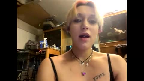 Shelby holes online show from 12-29-24, 01:49