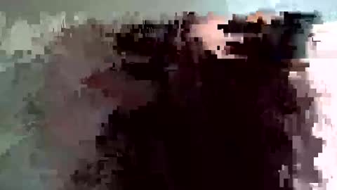 shelfeesh online show from 11-18-25, 09:36