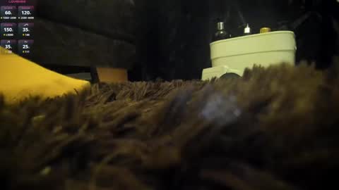 Snapshot of shinigamidoll chatting on 03-07-25, 02:15 Shinigamidoll see you soon online show from 03-07-25, 02:15