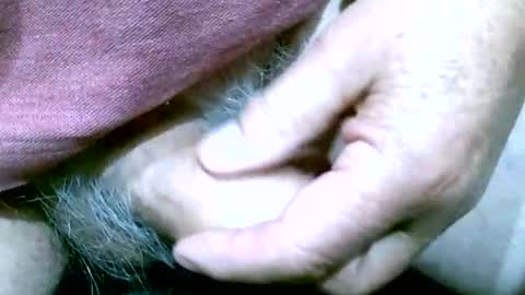 shootertog online show from 10-13-25, 10:48