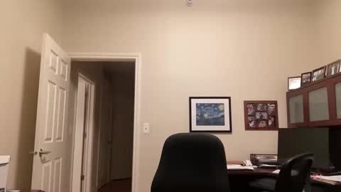 Snapshot of showmet chatting on 02-16-25, 04:31 Chicago Guy online show from 02-16-25, 04:31